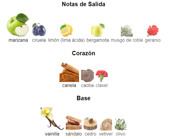 Decant Boss Bottled- Hugo Boss - Imagen 2