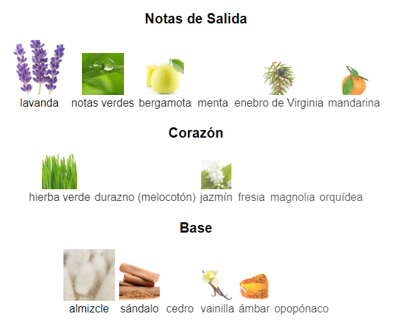 Decant Ck Be- Calvin Klein - Imagen 2