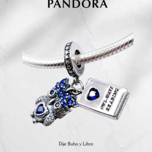 Charm estilo Pandora Buho y Libro- Plata ley 925